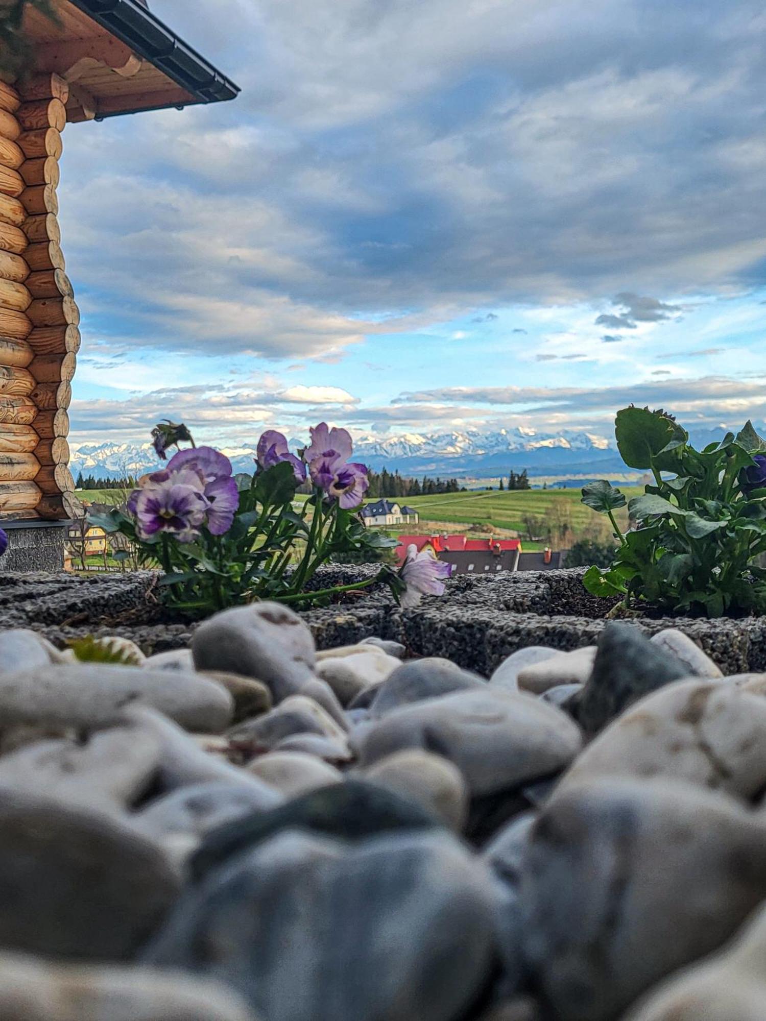 Domki Na Grapie - Z Widokiem Na Tatry Villa Pyzowka Buitenkant foto